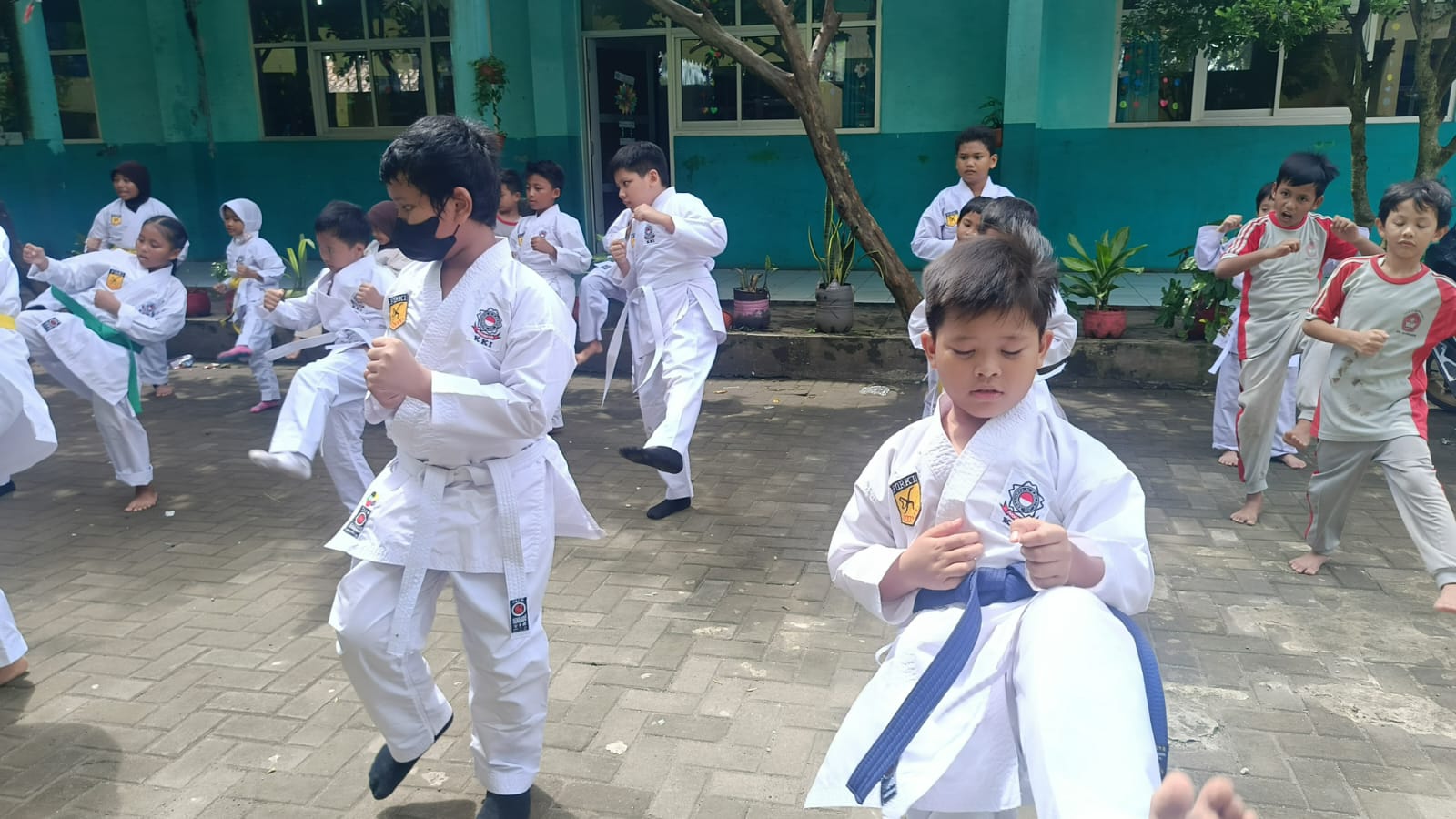 Taekwondo